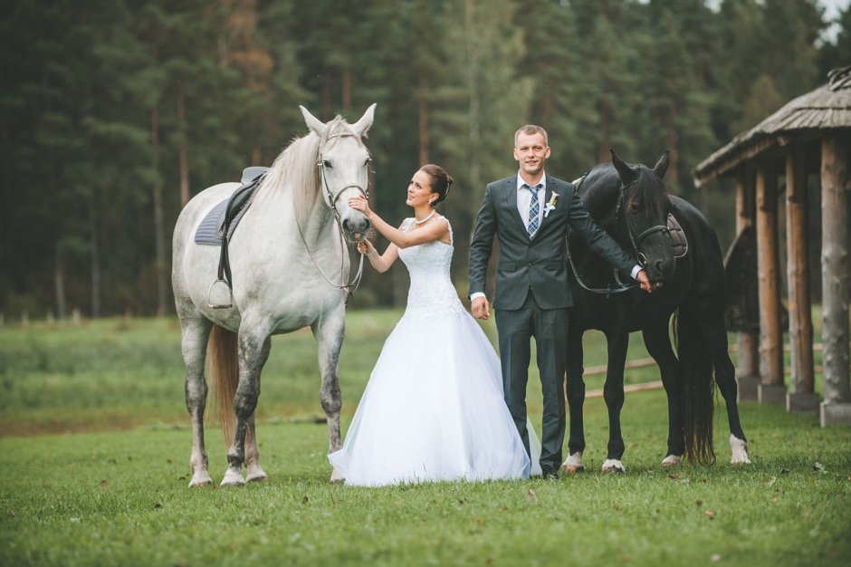Свадьба на лошадях в деревне