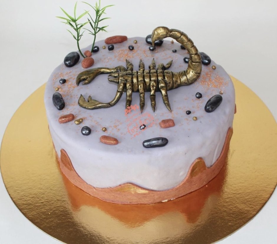 Тортик для скорпиона девочки