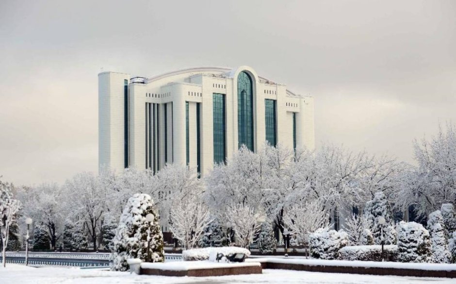 Ташкент Самарканд Бухара новогод