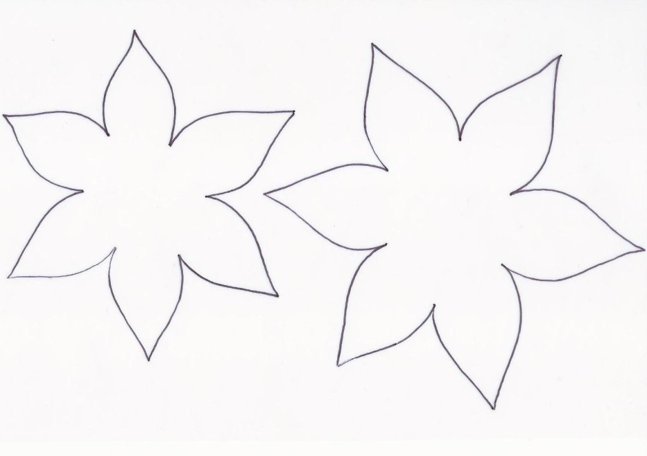 Трафарет цветка пуансетии