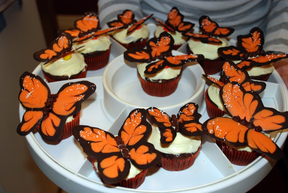 Бабочки из шоколада