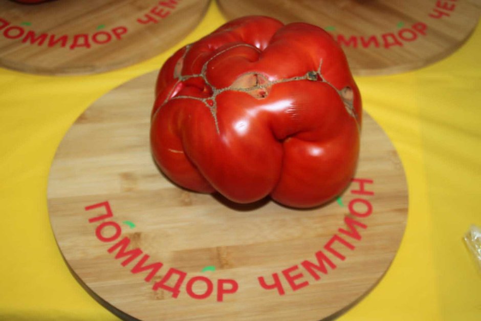 Праздник помидора в Минусинске