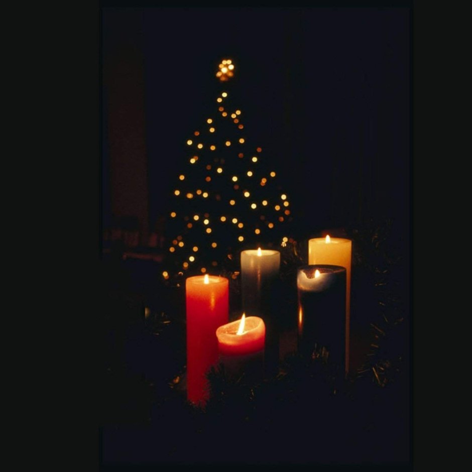 Новогодняя елка в темноте