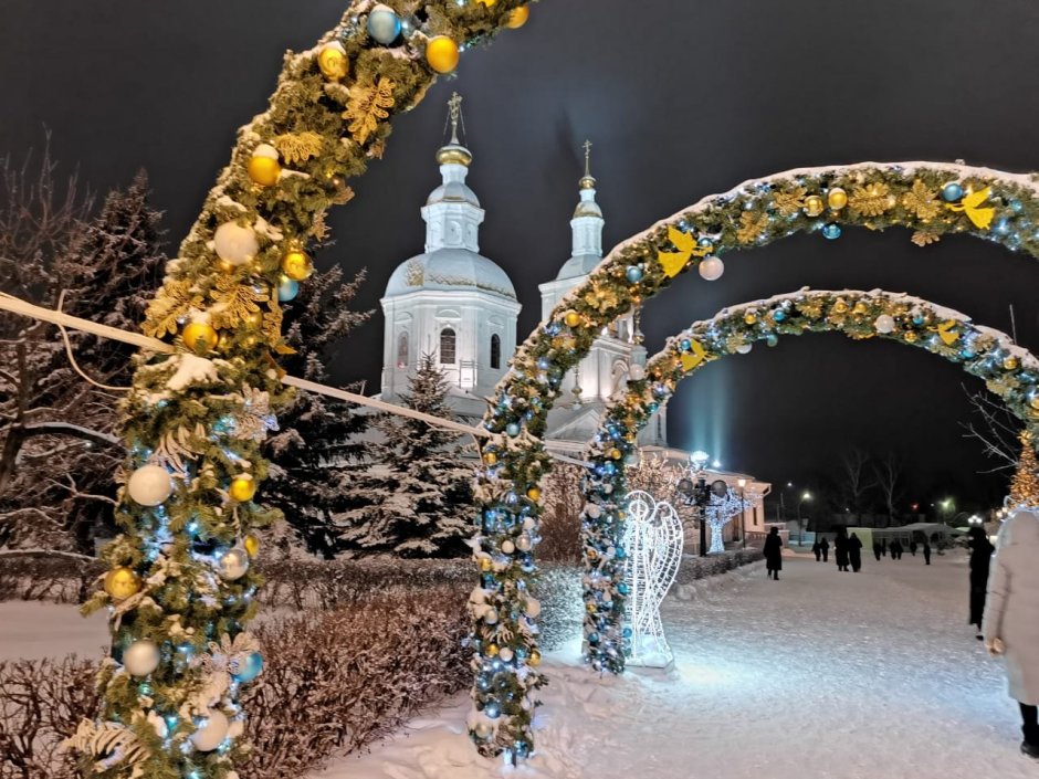 Дивеевский монастырь Рождество Христово