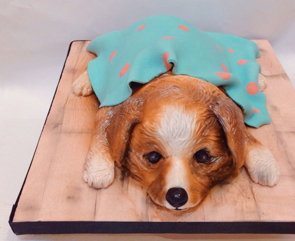 Торт с собачкой корги