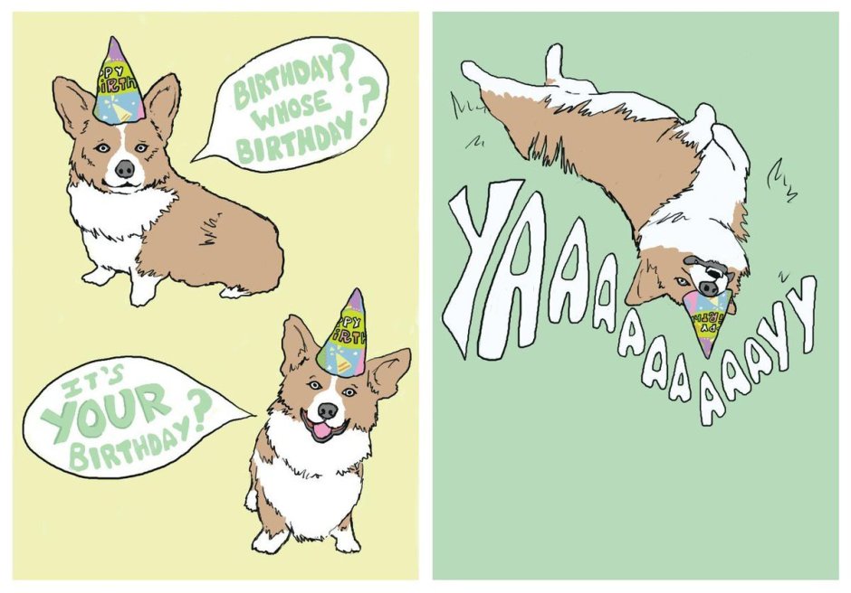 Корги поздравляет с днем рождения