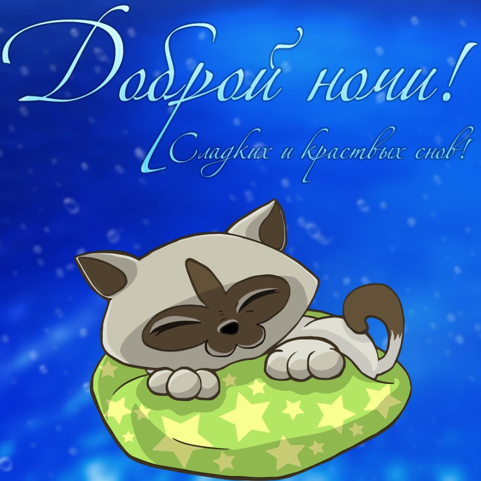 День сна котик открытка