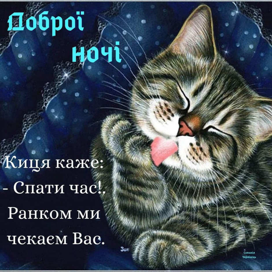 Спокойной ночи котик