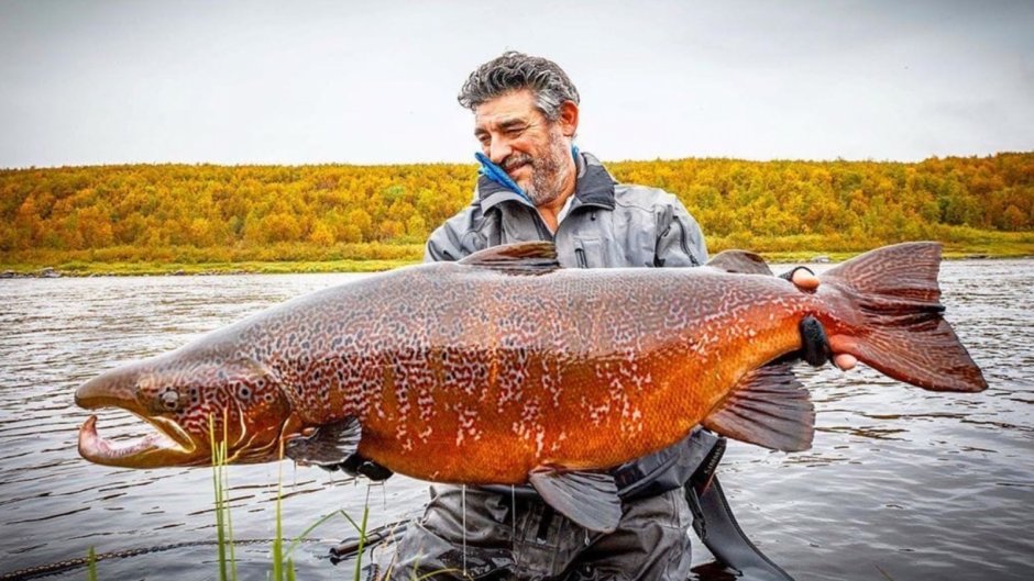 Рыбный фестиваль в Москве