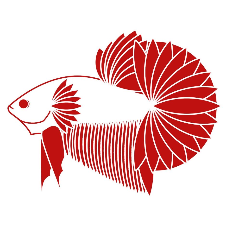 Графический дизайн рыбы