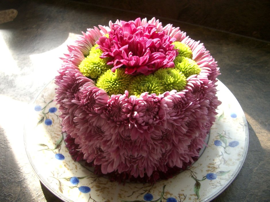 Красивый торт с хризантемами