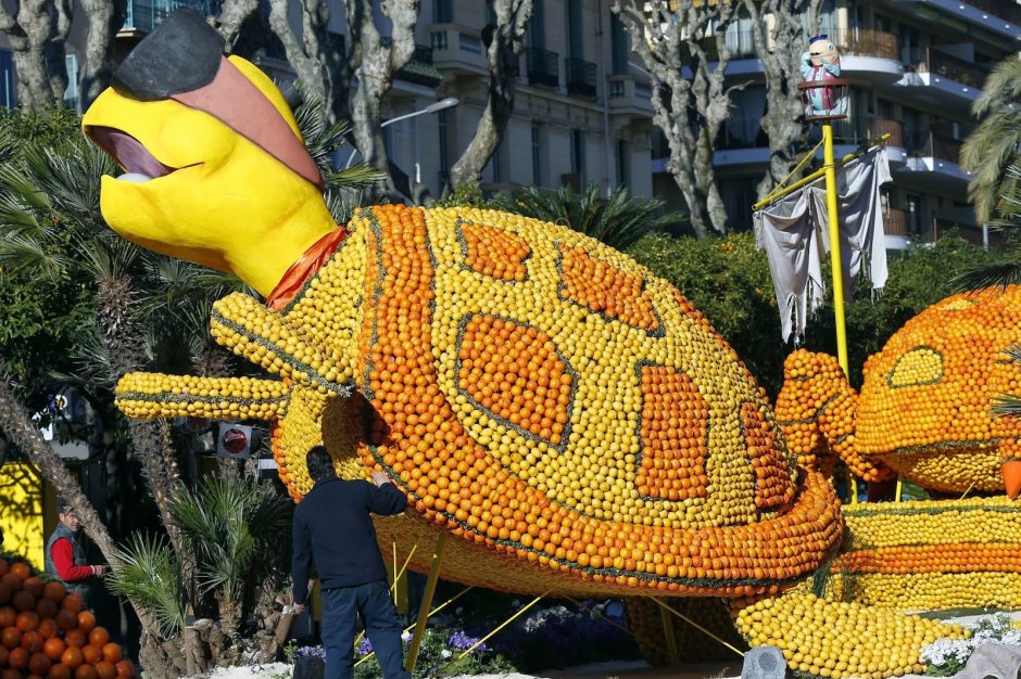 17 Февраля – fête du citron (фестиваль Лимонов).