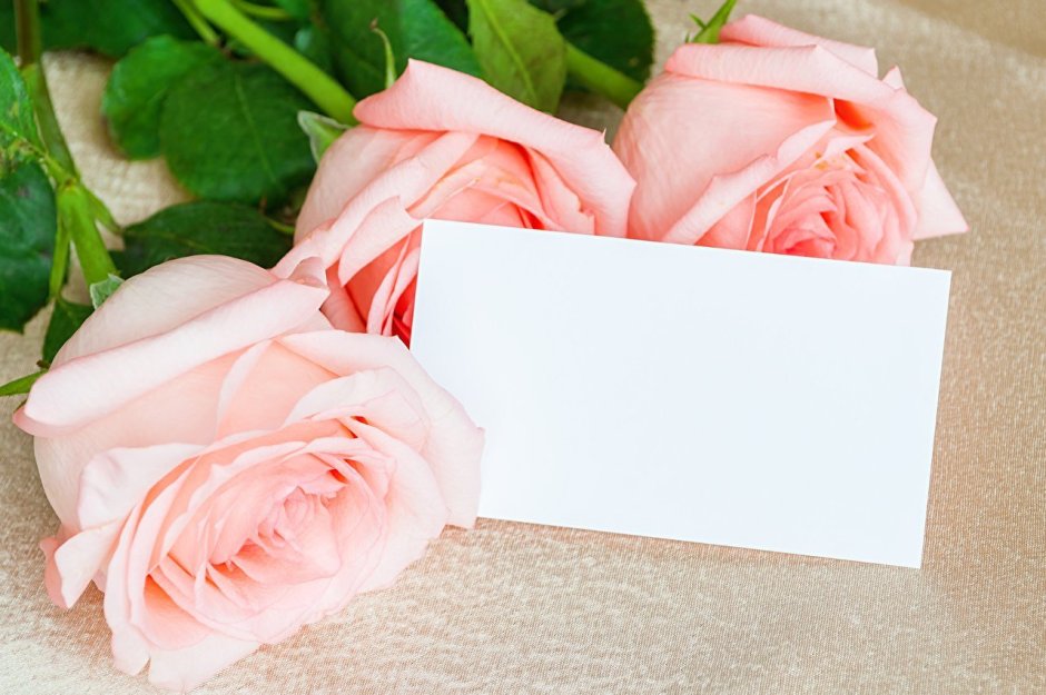 Букет розовых роз с запиской