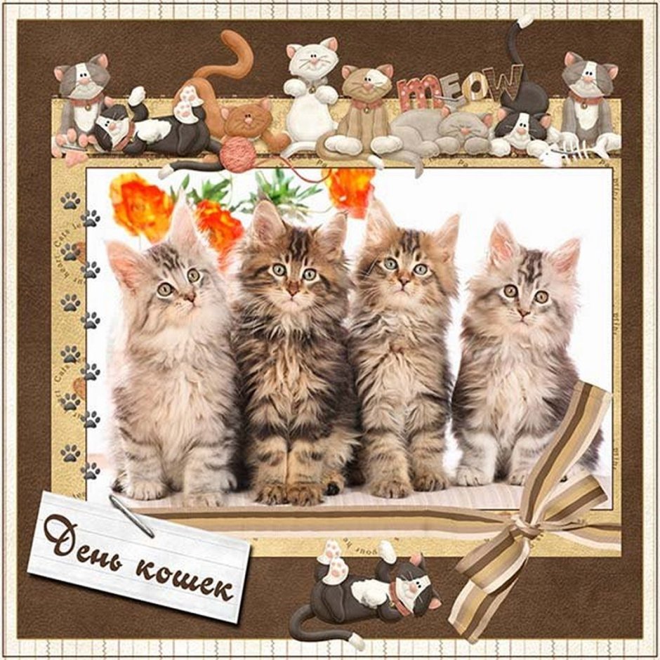 Котик с цветами открытка