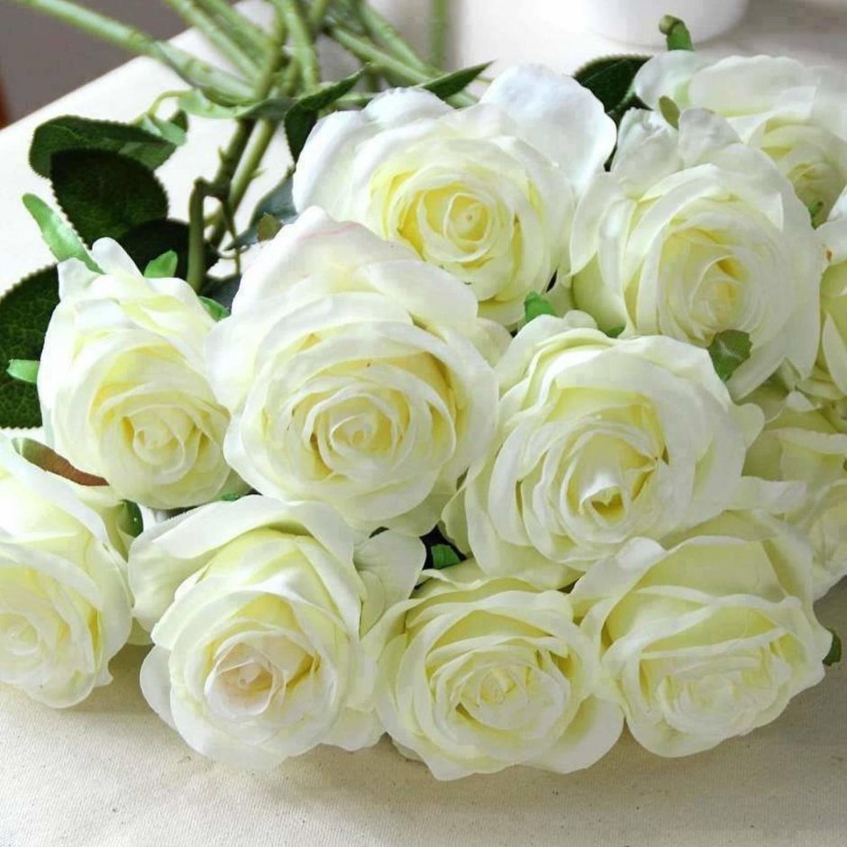 Открытки с белыми розами