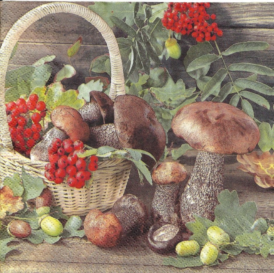 Натюрморт грибы и ягоды