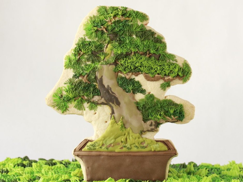 Hobbiton Bonsai Pot Gambody SLA