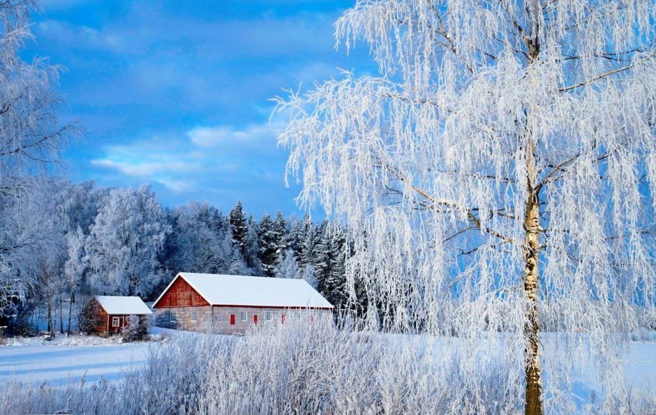 Финляндия берешка зимой