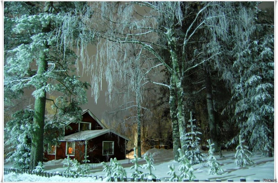 Сказочный дом в зимнем лесу