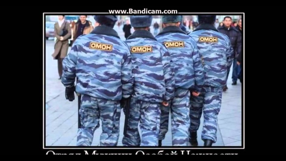 День патрульно-постовой службы МВД РФ (день ППС)