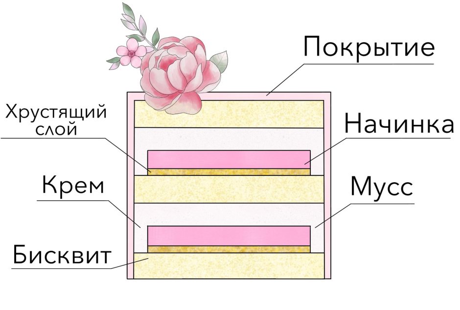 Схема торта в разрезе