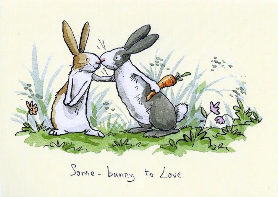 Anita Jeram