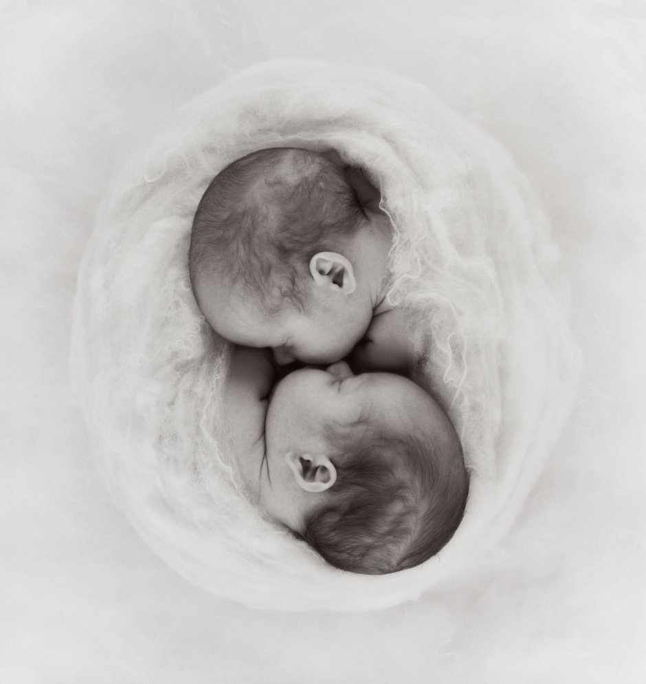 Открытки с рождением двойни