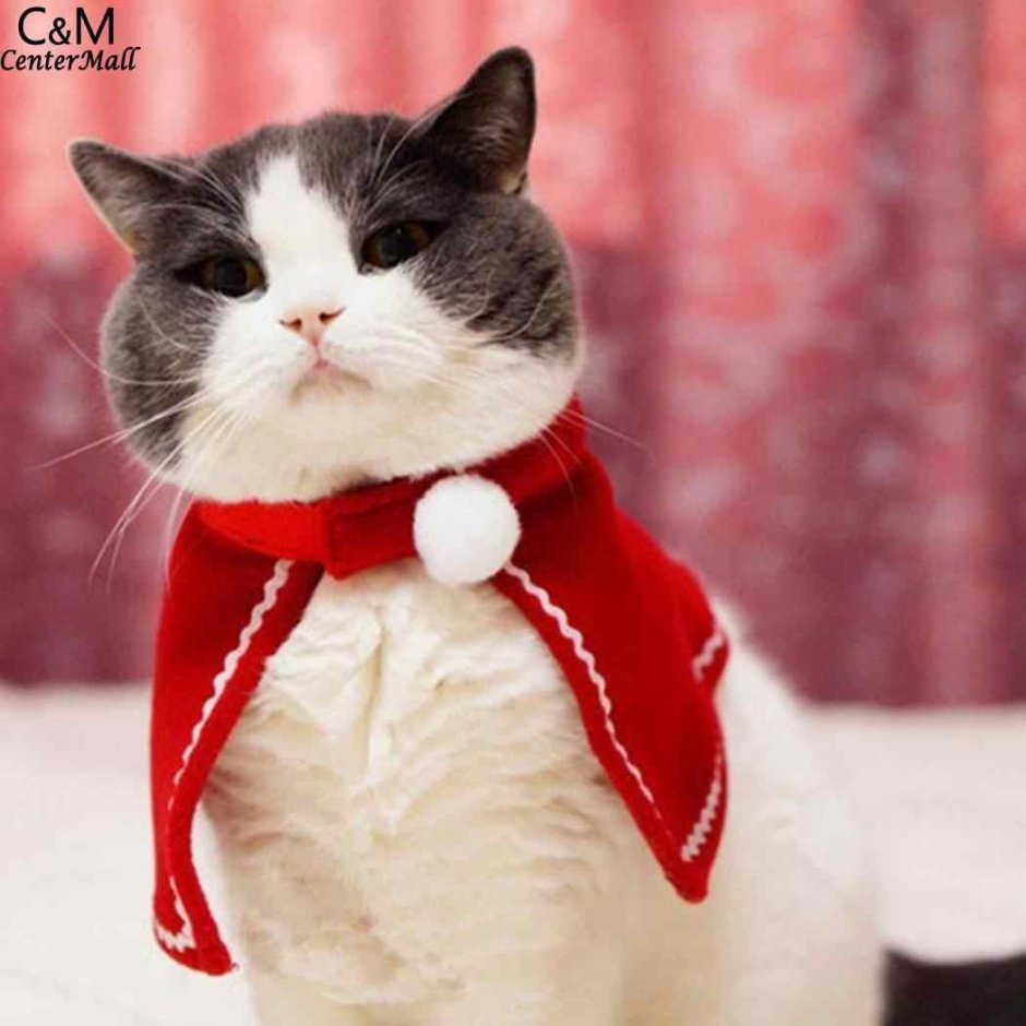 Новогодняя одежда для котов