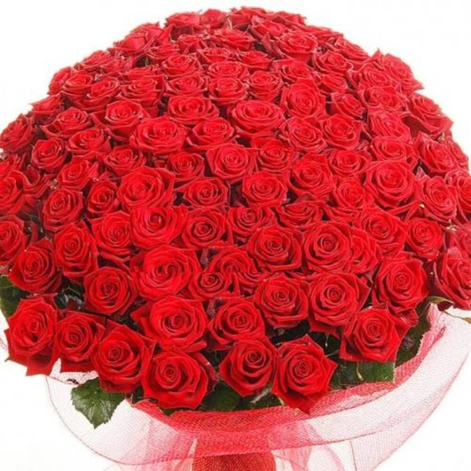 Букет красных роз с днем рождения