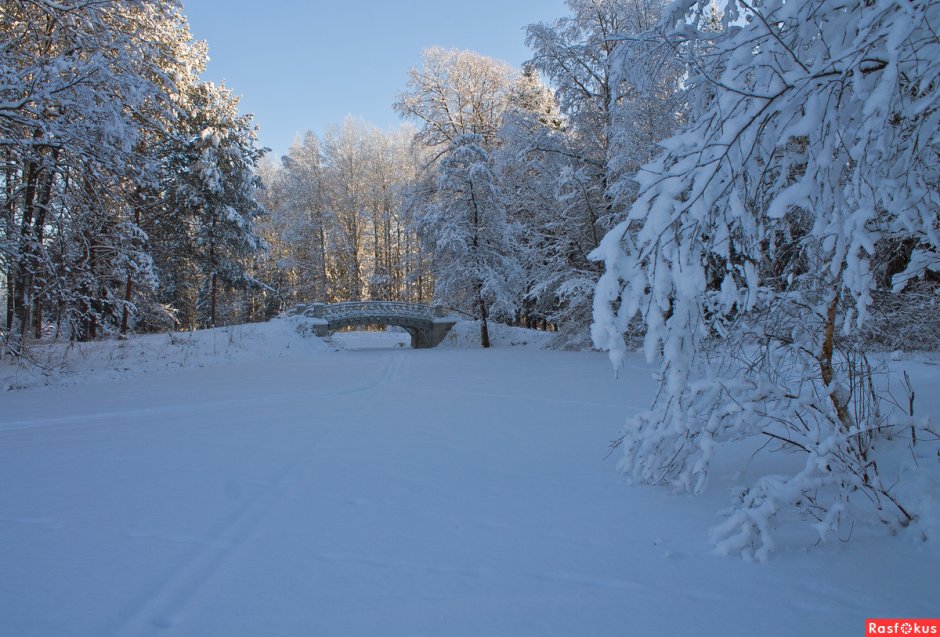 Дворцовый парк Гатчина зимой