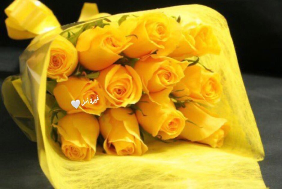 Желтые розы открытки