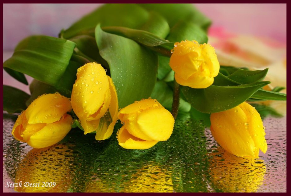 Доброе утро желтые тюльпаны