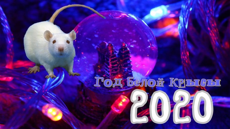 Новый год крысы 2020