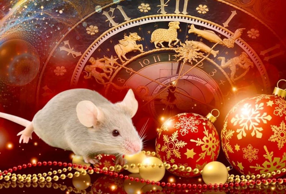 Белая крыса новый год