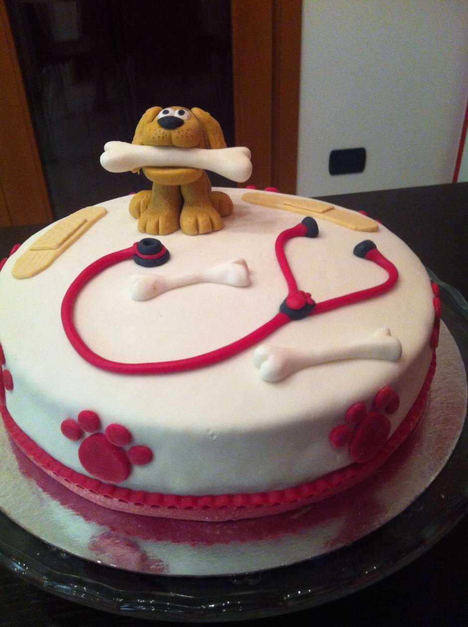 Декор торта для ветеринара