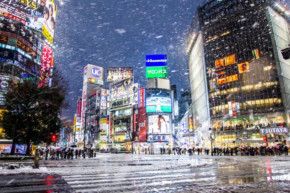Климат Японии Токио