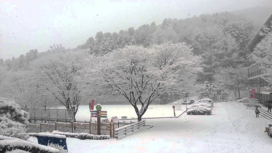 Корейская природа зимой