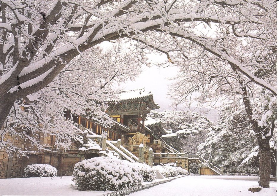 Зима в Южной Корее Сеул