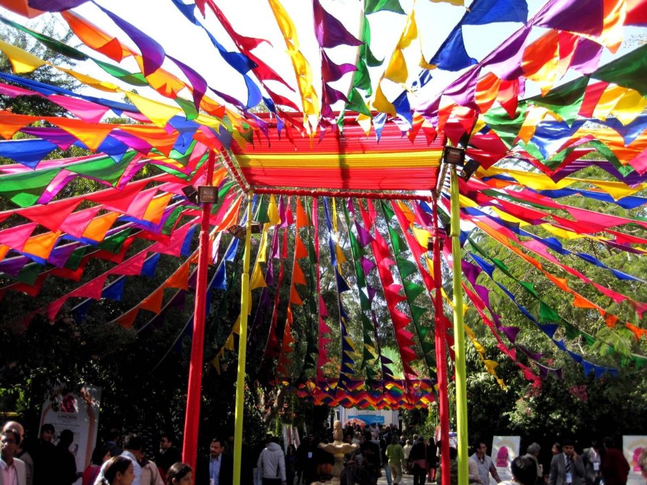 Фестиваль «Color Fest»