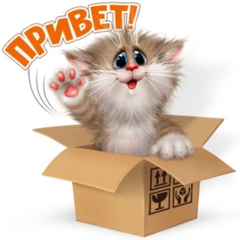 Стикеры коты Алексея Долотов