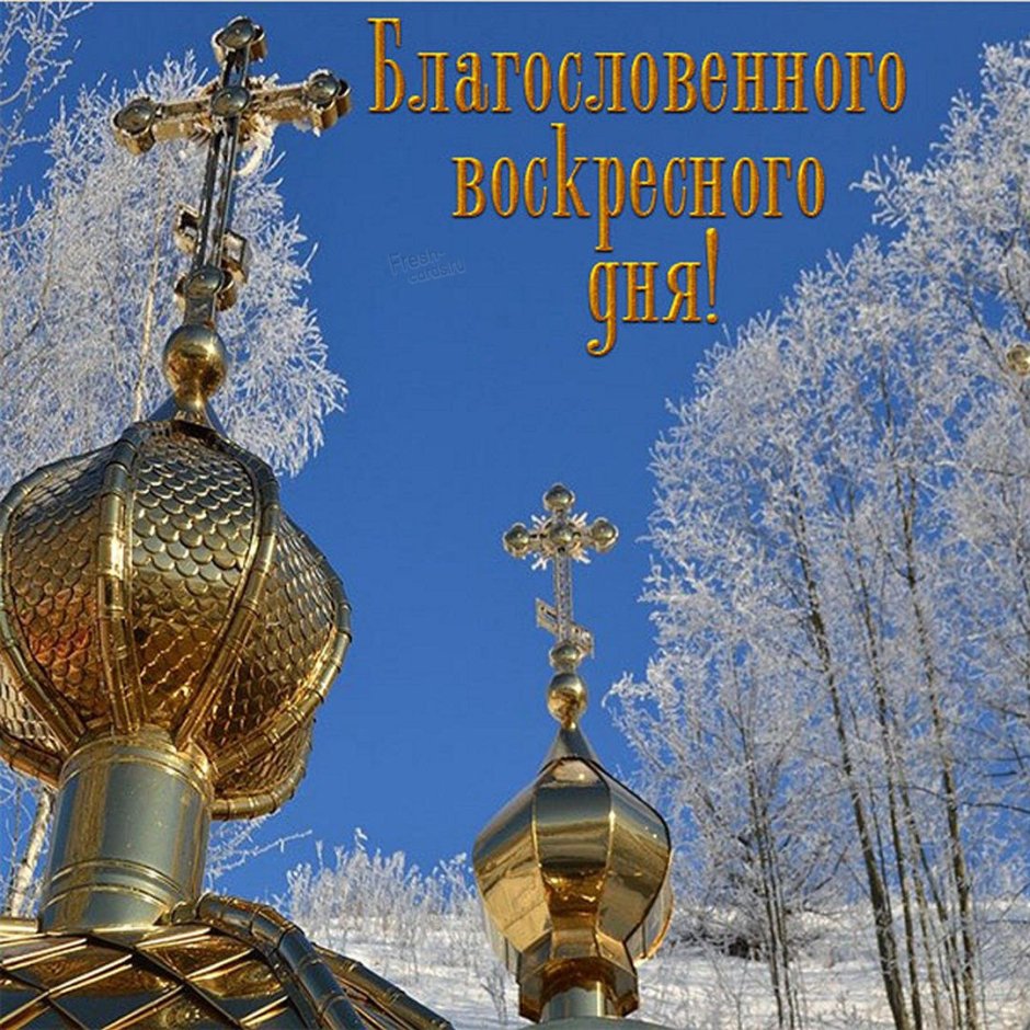Благословенного дня православные