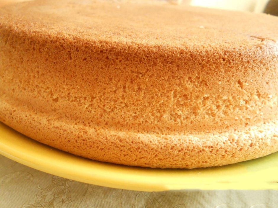 Бисквит Sponge Cake