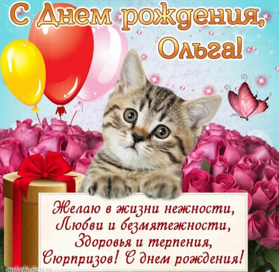 С днём рождения Ольга Николаевна
