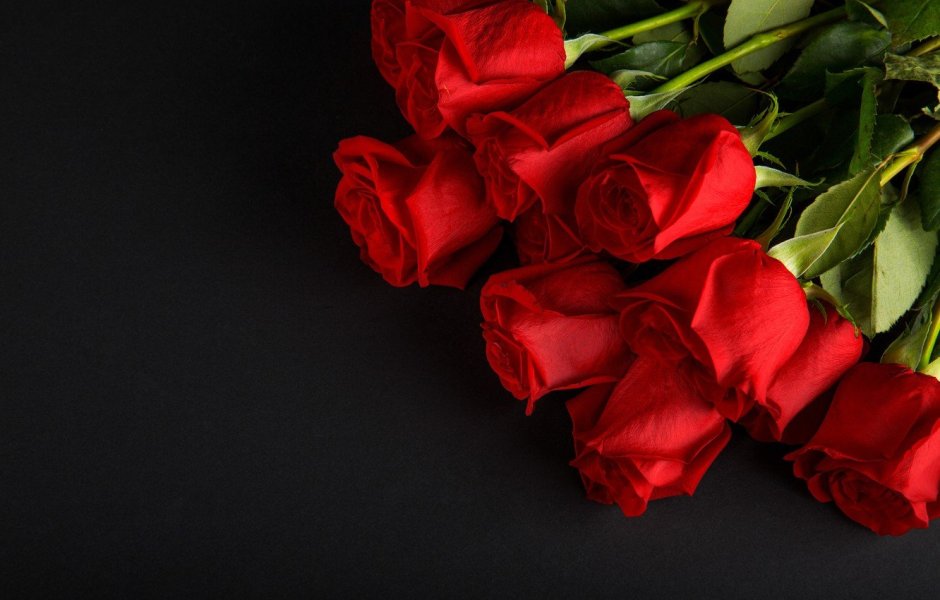Букет красных роз на черном фоне