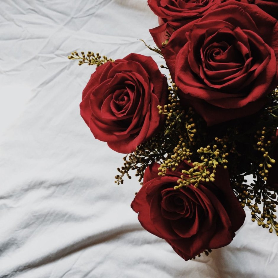 Красные розы Эстетика для коллажа