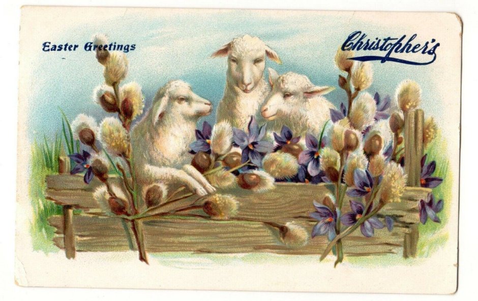 Винтажные открытки с овечками