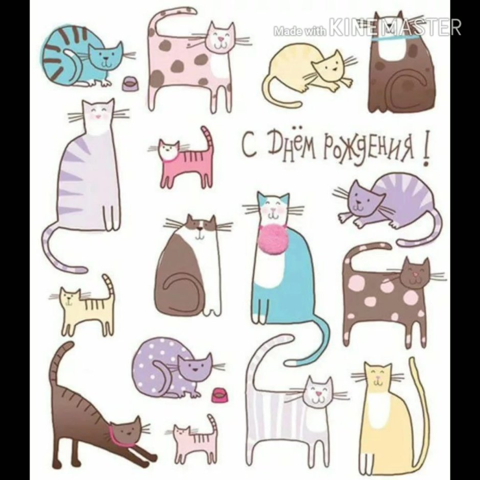Стильные открытки с кошками