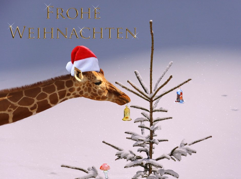 Рождественский Жираф