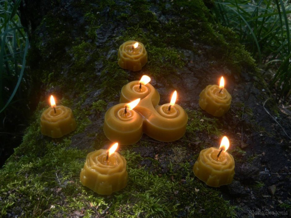 Свечи в лесу
