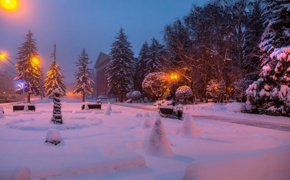 Ставрополь природа зимой